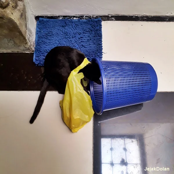 penitipan hewan - jangan tinggalkan benda sembarangan