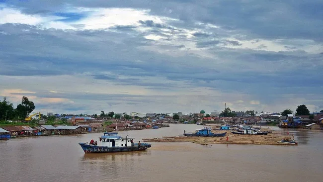 Proses Pengangkutan Kayu Log di Sungai Kahayan