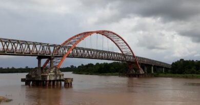 Jembatan Kahayan