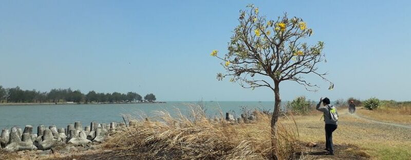 Pantai Baruna Semarang