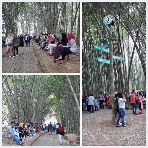 Pasar Papringan Yang Berada di Tengah Hutan Bambu