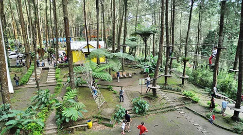 kopeng treetop - tempat wisata di kopeng