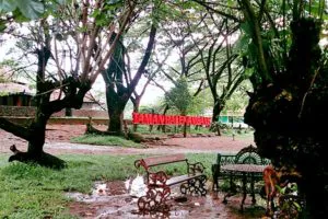 Taman Balekambang Solo