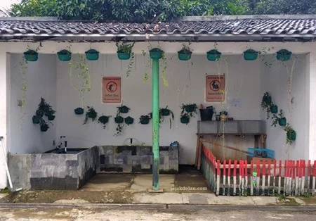 Bermain dengan hewan lucu di Meotel