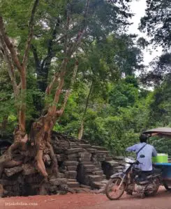 Berkeliling Angkor dengan Tuktuk Sangat Menyenangkan