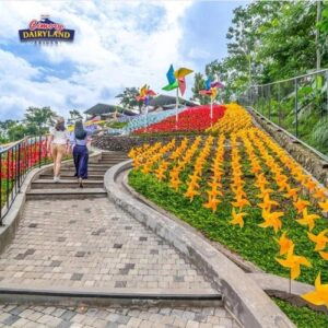 Taman Bunga_Cimory Prigen_IG official