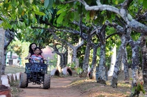 Atv Kampoeng Kopi Banaran GMaps