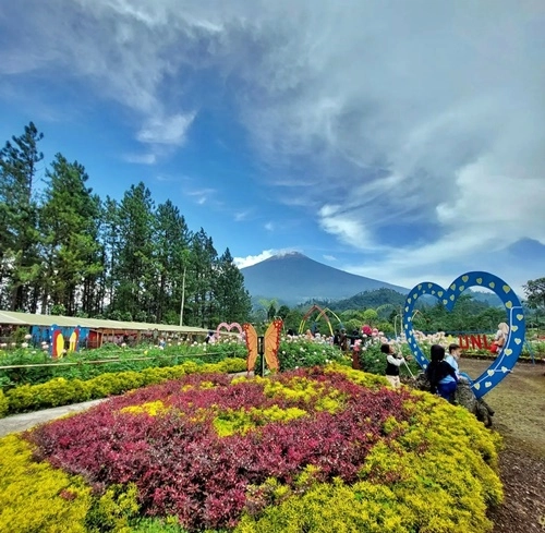 Spot foto di DLas Purbalingga
