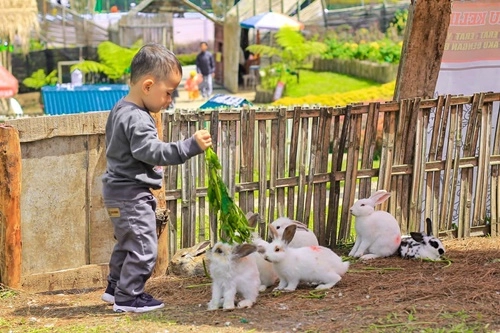 Taman Kelinci Desa Wisata Lembah Asri Serang