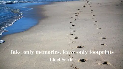 Travel Quote Populer yang keren