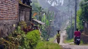 Jelajah Desa Wisata Bali