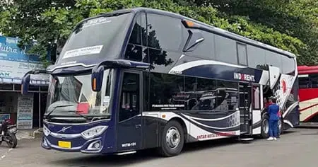 Bus PO Unicorn Indorent