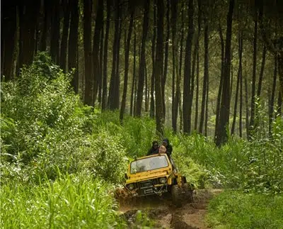 Offroad