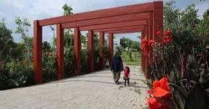 Hutan Bambu Keputih Surabaya