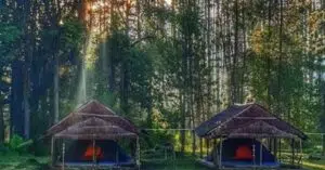 area camping di taman hutan rakyat bukit barisan