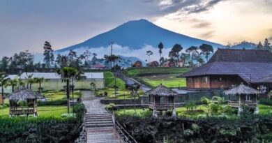 Cover Dlas Purbalingga
